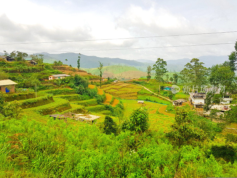 在斯里兰卡的火车旅行通过茶叶种植园Ella, Nuwara Eliya和Kandy